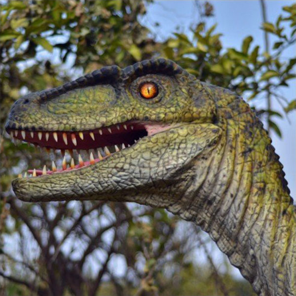 Amusement theme park animatronic dinosaur raptor