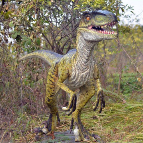 Amusement theme park animatronic dinosaur raptor