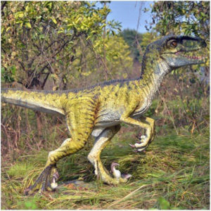 Amusement theme park animatronic dinosaur raptor