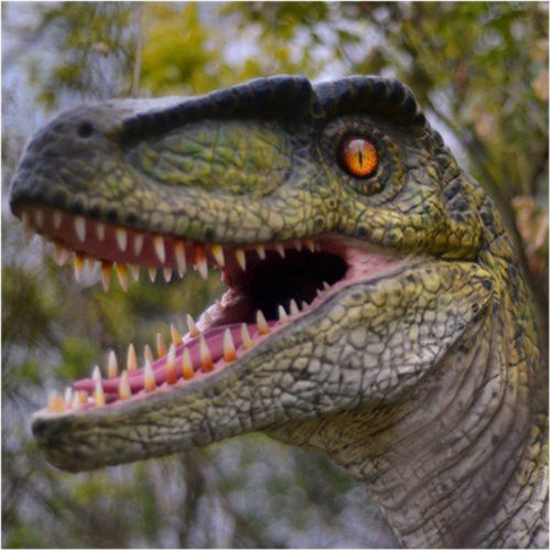 Amusement theme park animatronic dinosaur raptor06